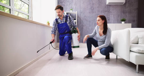 Best Residential Pest Control  in Lorain, OH